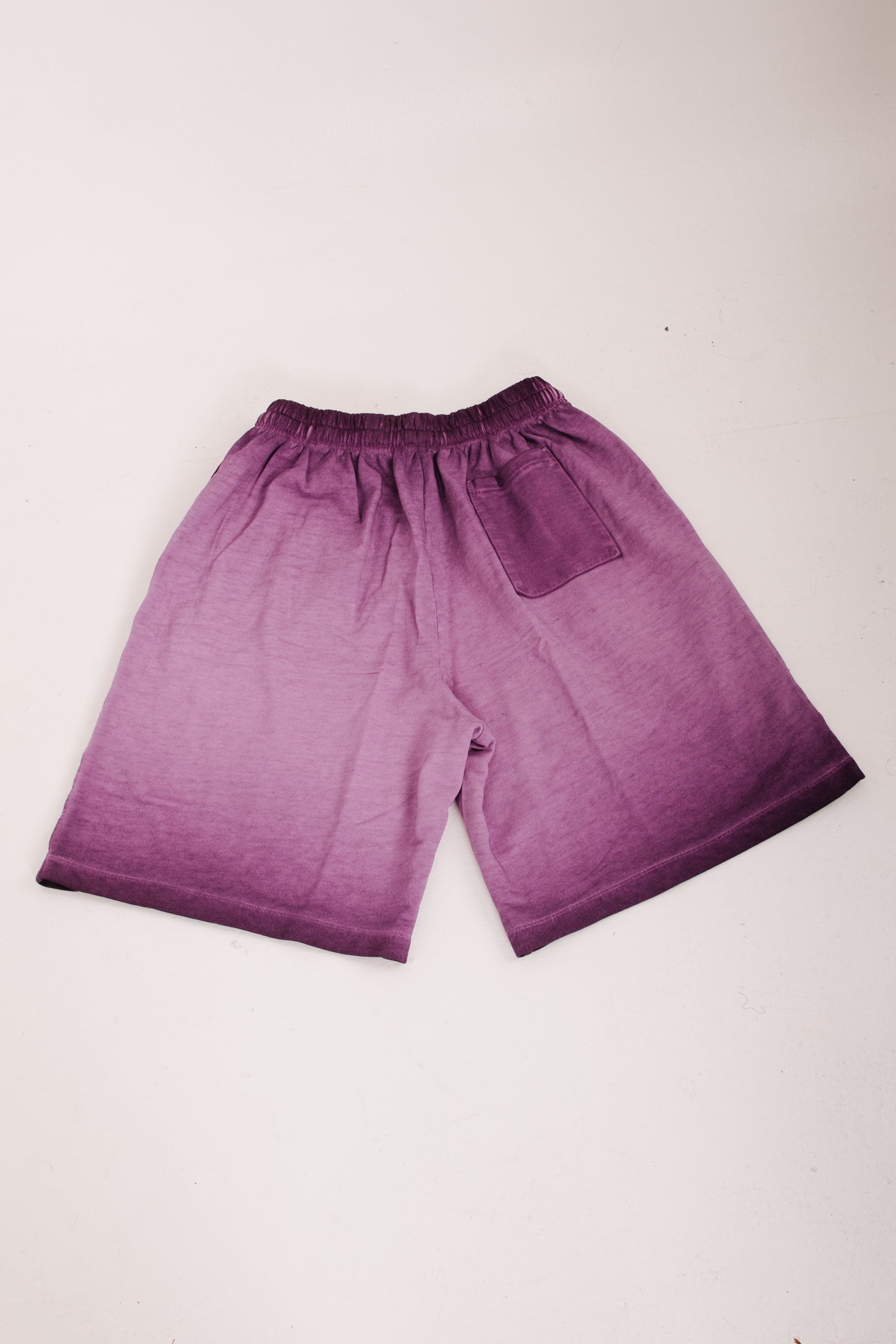WE OUTSIDE SHORTS PURP pre order - CITY CARTER