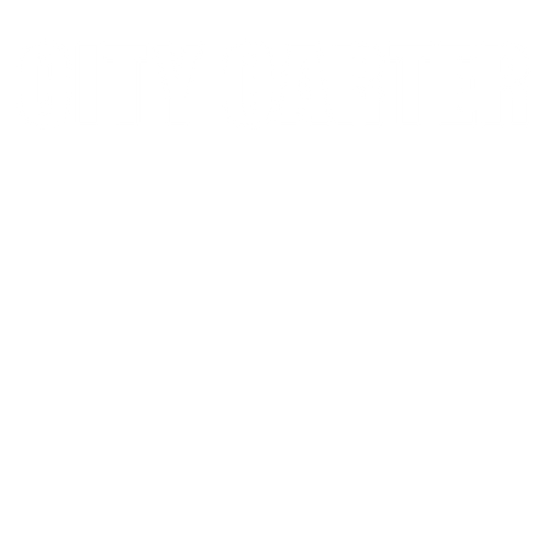 CITY CARTER